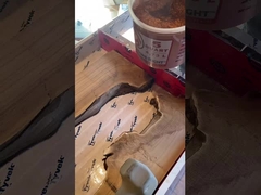 Brilla radiante en resina de vertido profundo