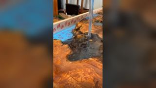 Resin River Table, preserving a piece of nature with wood and resin.